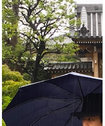 FOX UMBRELLAS | 長傘