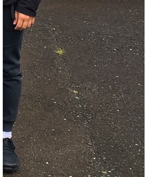 NIKE | スウェットパンツ