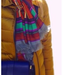 ETRO | マフラー