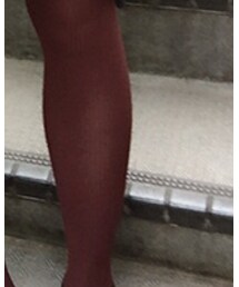 靴下屋 | タイツ/ストッキング