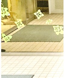 DESCENTE PAUSE | ナイロンジャケット