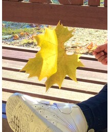 babyGAP | デニムパンツ