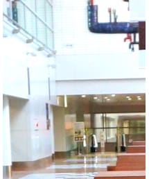 Ray-Ban | サングラス