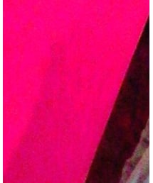 Dickies | デニムジャケット