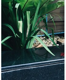 H&M | その他パンツ