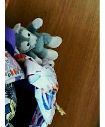 ジェラトーニ | 雑貨/ホビー