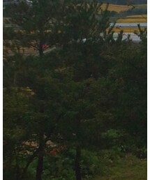 山形県 | その他