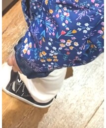 UNIQLO | パンツ