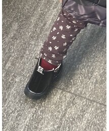 Birthday | ソックス/靴下