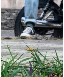 CONVERSE | スニーカー