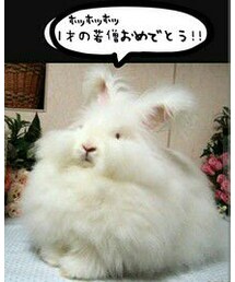 とうっ!!! | ラビットからのお祝い。😆😆👏👏(ラッピングキット)