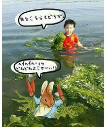 ｲｯﾎﾟｰﾝ!! | 野外活動　①(その他)