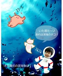 1 | ラッピングキット