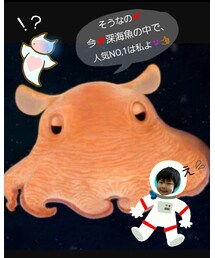 3 | ラッピングキット