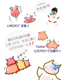 4 | ラッピングキット