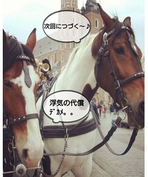 8 | ラッピングキット