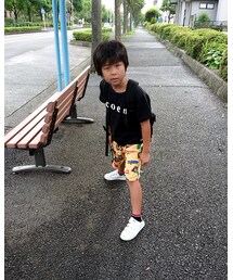 最近のうちの子 | 福袋/福箱