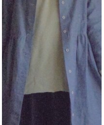 American Eagle | Tシャツ/カットソー