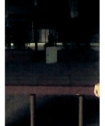 UNIQLO | シャツ/ブラウス