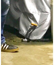 adidas | スニーカー