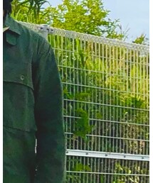 Engineered Garments | ジャケット/アウター