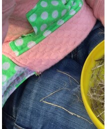 ZARA | デニムパンツ