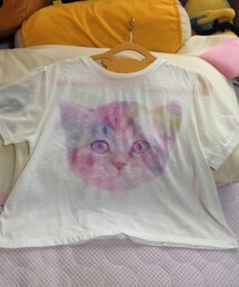 WEGO | 袖シフォンファンタジーT(Tシャツ/カットソー)