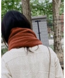 salut! | マフラー