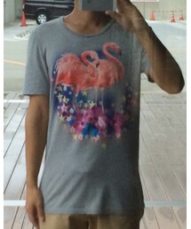 GUCCI | Tシャツ/カットソー