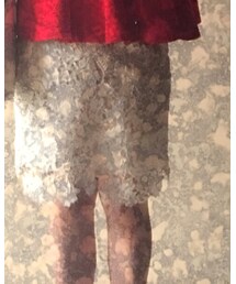 LILY BROWN | スカート