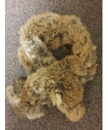 no brand | ラビット(ファッション雑貨)