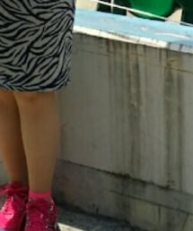 100均の虫除け | その他