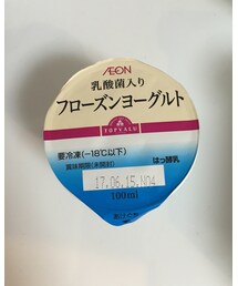 フローズンヨーグルトアイス | その他