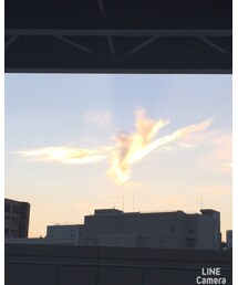 火の鳥 | その他