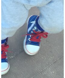 VANS | スニーカー