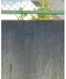 古着 | Tシャツ/カットソー