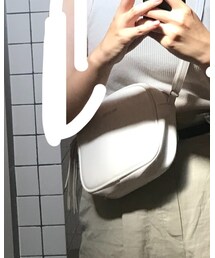 miniの付録 | ショルダーバッグ