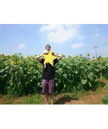 ひまわり満開 | ヒマワリ(その他)