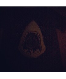 光るサメ☆ | その他