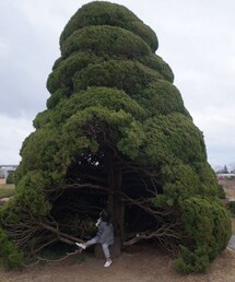 りゅうき | でかっ！(その他)