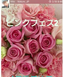 ピンクフェス2 | その他