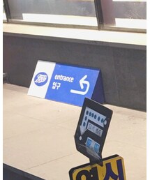 STUSSY | Tシャツ/カットソー