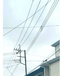 無印良品 | ベルト