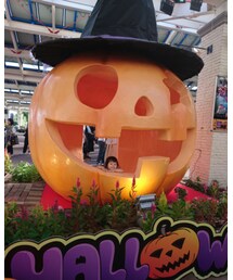 ハロウィン🎃 | その他