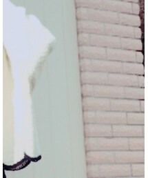 ZARA | ニット/セーター