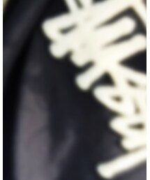 STUSSY | スウェット