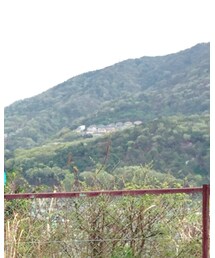 niko and... | カーディガン/ボレロ