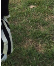 西松屋 | ソックス/靴下