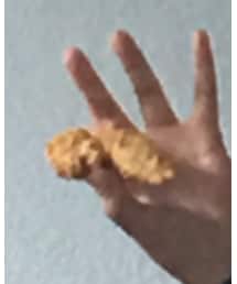 chicken | その他雑貨