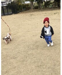 Champion | Tシャツ/カットソー
